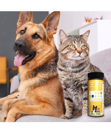 Pet Test Strips: Accurate Urine Monitoring Kit for Dogs, Cats & Other Pets - Blood Glucose, pH, Specific Gravity, UTI & Kidney Health Tests - Buy Online on GoSupps.com