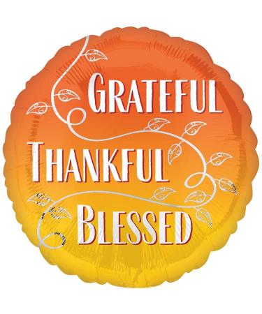 Anagram 18 Grateful Thankful Blessed Hx