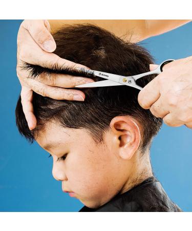 Buy Asipro 6.5 Effilting Scissors for Hairdressers | Professional Thinning Scissors with Leather Case | Ideal for Women Men Kids & Pets - Buy Online on GoSupps.com