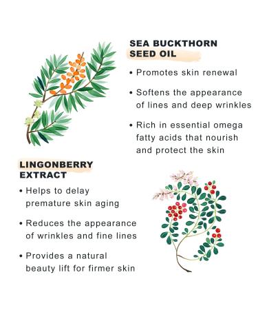 Lumene Nordic Berry Pre Retinol Day Cream - Anti Wrinkle & Firming Moisturizer for Fine Lines - 50ml - Buy Online on GoSupps.com