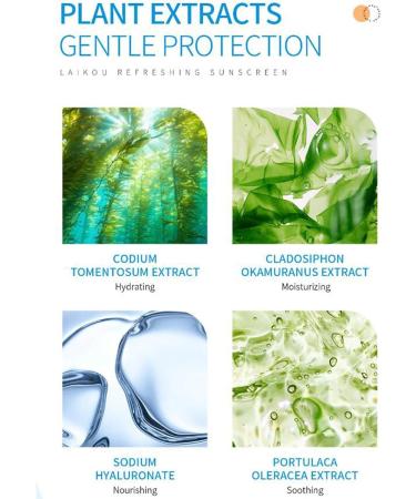  SOYDAN Sunscreen Protector for Face and Body Spf 50 - Body Sunscreen 50g Pa++ Non-Greasy Sunscreen Filters Moisturizing Sunscreen UV Protection Face Cream for Protection - Buy Online on GoSupps.com