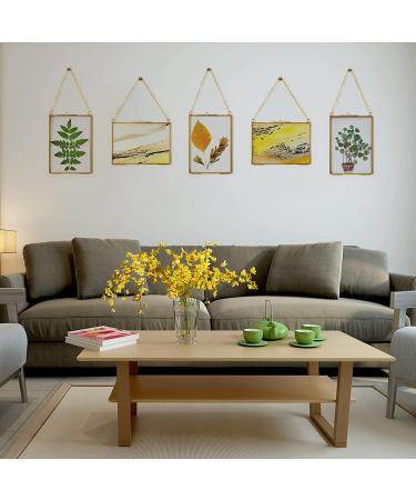 TLBTEK 2 pcs Hanging Photo Frames - 5x7 inch Double Glass Frames for Pressed Flowers - Vintage DIY Artwork Display - Wall Mounted Photos Frame - Horizontal and Vertical Display - Clear Glass - Buy Online on GoSupps.com