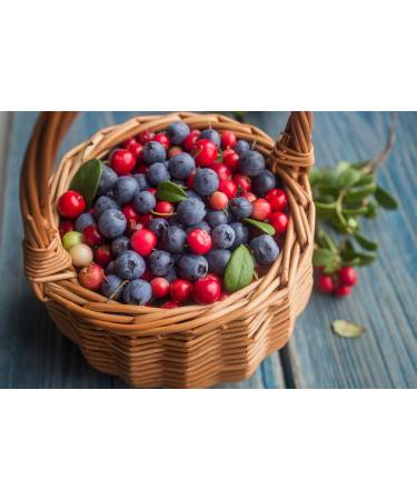 Olympian Labs Alpha Lipoic Acid & Coenzyme Q10 - 200 mg 60 Caps - Premium Antioxidant Supplement for Energy & Wellness - International Shipping Available - Buy Online on GoSupps.com