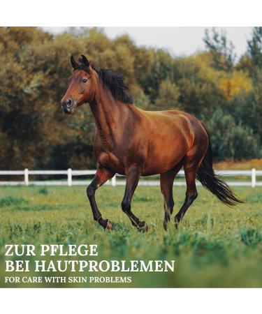 Boots EczemProtect for Horses - High-Quality Skin Care for Irritation Itching & Summer Eczema (125ml) - Buy Online on GoSupps.com