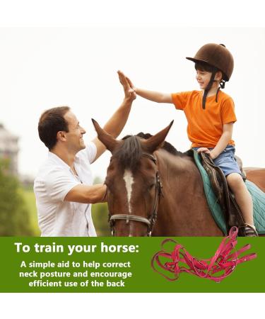 Adjustable Horse Halter | Heavy Duty Chin and Throat Snap Halter Horse - Comfortable Padded Nylon Horse Halter for Training Equestrian Grooming Red - Buy Online on GoSupps.com