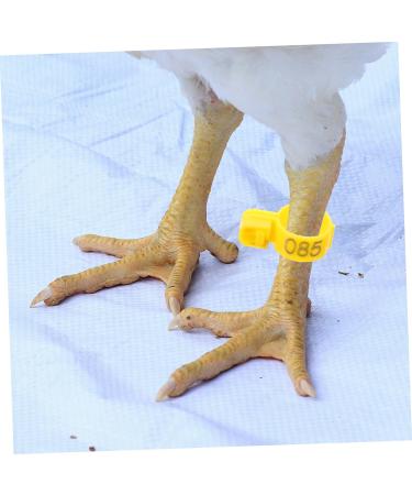 Yardwe 100pcs Poultry Marking Ring Farm Marker Tools Pigeons Ring Bands Ankle Pigeon Ring Lettering 3x1.8cm Yellow - Buy Online on GoSupps.com
