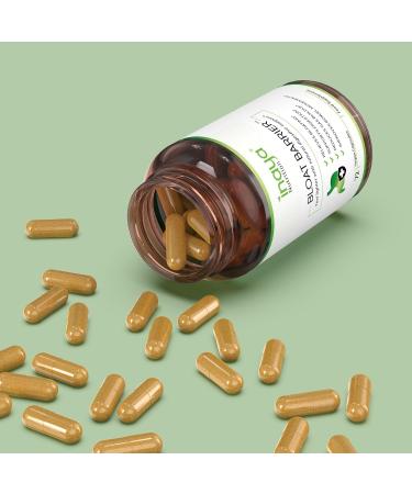 Inaya Nutrition BloatBarrier 72 Capsules - Natural Digestion and Bloating Supplement for Stomach Bloating Relief Gas Reduction and Improved Bowel Movements Vegan Gut Health Supplements - Buy Online on GoSupps.com