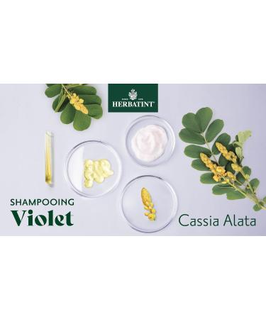 Herbatint Shampoo Violet Anti-Yellow Shampoo - 260 ml | Specific for White or Bleached Hair | Fights Yellowing Nourishes Protects and Brightens Hair Vegan - Buy Online on GoSupps.com