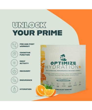 Optimize Minerals Citrus Blast Hydration | All in-One Supplement Pack Ionic Trace Mineral Blend Electrolyte and Micronutrient Support - Buy Online on GoSupps.com