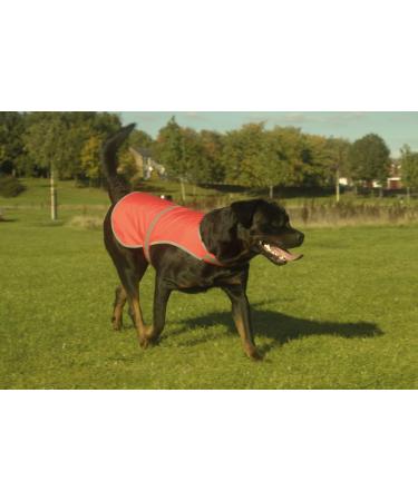 Yoko Mens YK180/HVDW15 Safety Vest for Dogs - M Green | Durable & Reflective Dog Safety Gear International Shipping - Buy Online on GoSupps.com