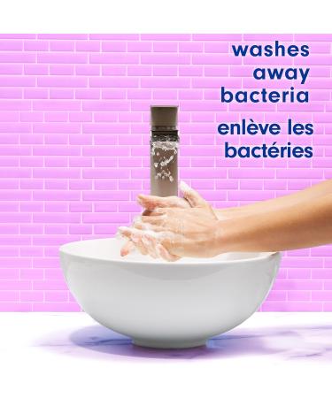 Softsoap Deeply Moisturizing Liquid Hand Soap - Lavender & Shea Butter - Pack of 6 - 332ml - Buy Online on GoSupps.com