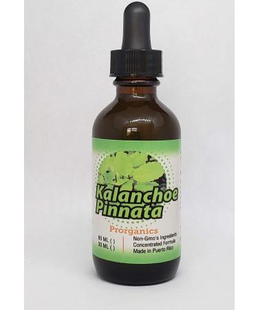 Kalanchoe Pinnata 2oz Tincture Prorganics