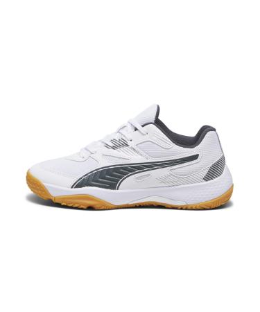 PUMA Unisex Kids Solarflash Jr Ii Indoor Trainers 34 EU Puma White Nitro Blue Shadow Gray