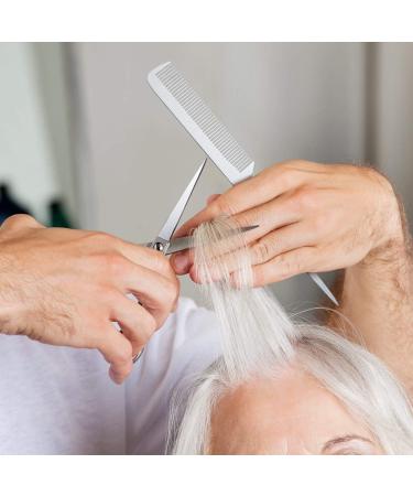 2-Piece Silver Rat Tail Combs Set - Stainless Steel Fine Cutting and Teasing Pintail Barber Comb for Hair Styling - Buy Online on GoSupps.com