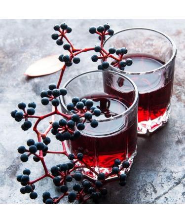 Unidex Dutch Exporters BV VIMTO Fruit drink pack of 24 24 x 330 ml - Buy Online on GoSupps.com