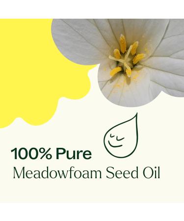 Plant Therapy Meadowfoam Carrier Oil 4 fl. oz Base Oil for Aromatherapy Essential Oil or Massage use 4 Fl Oz (Pack of 1) - Buy Online on GoSupps.com