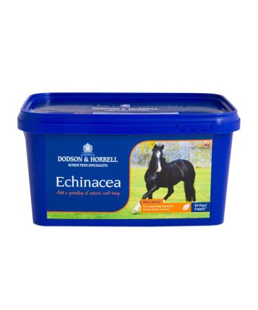 Dodson & Horrell Echinacea Horse Supplement 1 kg Echinacea 1 kg (Pack of 1)