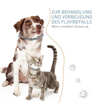 Dewel Tick Collar for Large Dogs & Cats | Natural Waterproof Anti-Flea & Tick Protection | Adjustable 63.5cm Collar Against Fleas Mites & Lice - Buy Online on GoSupps.com