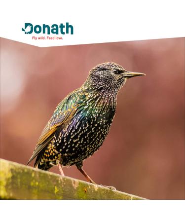 Buy DONATH BALKON MIX - Premium Shell-Free Wild Bird Feed for Clean Balconies - 9 kg Pack from Southern Germany - Year-Round Quality Nutrition - Buy Online on GoSupps.com