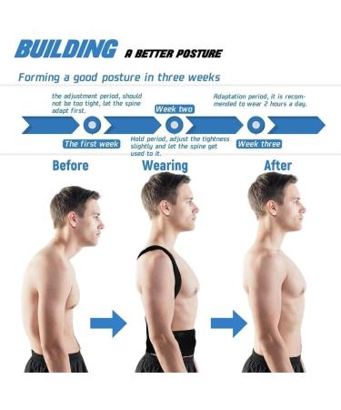 Back Support Back Brace Lumbar Support Full Back Support Belt Posture Corrector Waist Support Lower Back Brace Breathable Back Support Belt(3X-Large) 3X-Large Black - Buy Online on GoSupps.com