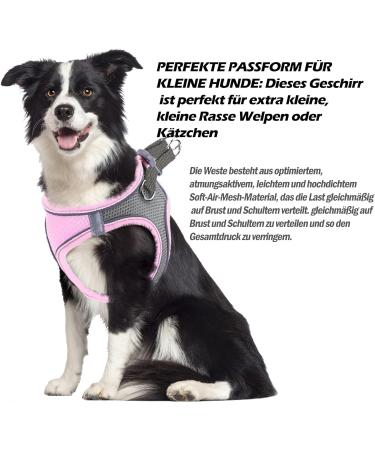 Shop Bright Pink Dog Harness & Puppy Tableware | Small Dog Dishes with Leash - Curli - Buy Online on GoSupps.com