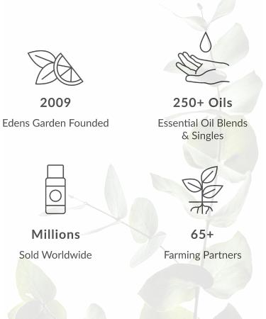 Edens Garden Essential Oil Set - 100% Pure Aromatherapy | 6 Essential Oils for Diffuser & Therapeutic Use - International Shipping Available - Buy Online on GoSupps.com