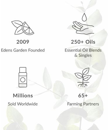 Buy Edens Garden Black Essential Oil Pocket Inhaler - Aromatherapy & Wellness | Worldwide Shipping - Buy Online on GoSupps.com