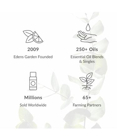 Edens Garden Allure Natural Perfume Made with 100% Pure Essential Oils Clean Free of Synthetic & Toxic Fragrances Scent for Women Warm & Powdery Aroma 1 fl oz (30 ml) - Buy Online on GoSupps.com