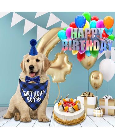 Dog Birthday Hat & Bandana Set - 3pcs Blue Dog Party Accessories for Boys & Girls - Perfect for Puppies & Cats - Buy Online on GoSupps.com