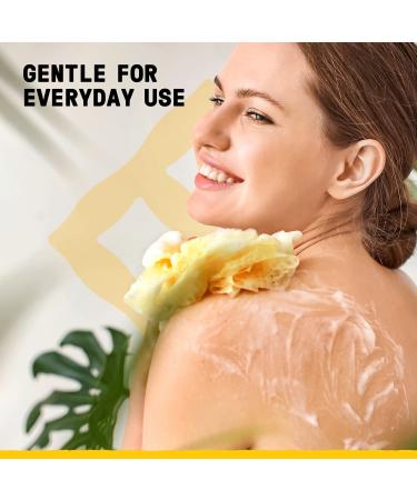 Alaffia Sensitive Skin Body Wash - 32 Fl Oz - Coconut Oil, Coffee, Vitamin E - Plant Based Ingredients - For Men & Women - Buy Online on GoSupps.com