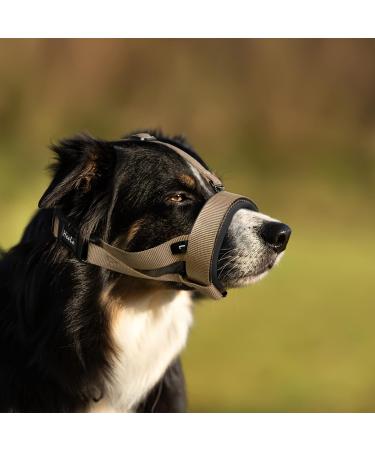 Adjustable Heele Dog Muzzle with Head Belt - No Rubbing Comfortable Fit for Safe Dog Training - Buy Online on GoSupps.com