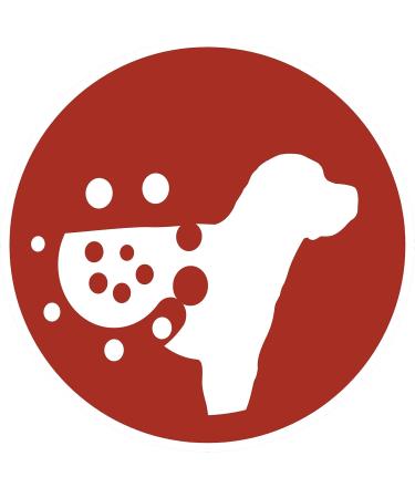 PURINA ONE MEDIUM MAXI Croquettes Rich in Beef with Rice for Adult Dogs 2.5 kg - Pack of 4 - Buy Online on GoSupps.com