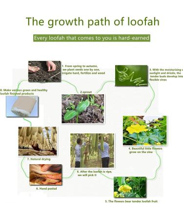 Large All Natural Loofah Sponge for Exfoliating Body Scrub - 100% Biodegradable and Reusable - Ideal for Kids, Men, Women, and Dishes - Organic Loofah for Soap Making - Buy Online on GoSupps.com