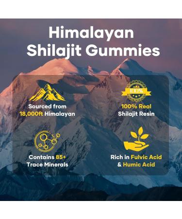 Pure Himalayan Shilajit Gummies Gold Lab Tested with Ashwagandha Gokshura | Fulvic Acid & 85+ Trace Minerals for Energy Boost & Immune Support - Buy Online on GoSupps.com