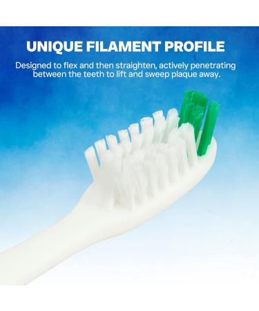 Falcon Toothbrush with Curved Filaments - Deep Reach Medium Bristles | Family Care Pack of 8 - 4 Colors Available - Buy Online on GoSupps.com