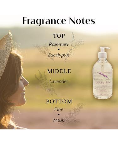 Provence Sante Lavender Liquid Soap - 16.9 oz Bottle - Buy Online on GoSupps.com