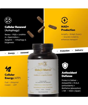 Stellar Health Clinical Mitochondrial Complex - Shilajit 5787mg Extract Equivalent NAD+ Booster - Ubiquinol CoQ10 Urolithin A NR PQQ ALA Astaxanthin - Energy Focus Strength - 60 Vegan Capsules - Buy Online on GoSupps.com