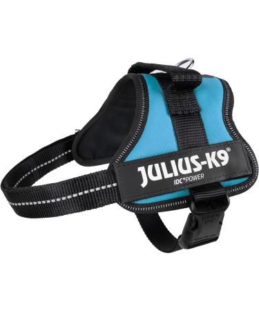 K9 Powerharness S/Mini - Aquamarine | Shop Internationally for the Best Dog Harness  - Buy Online on GoSupps.com