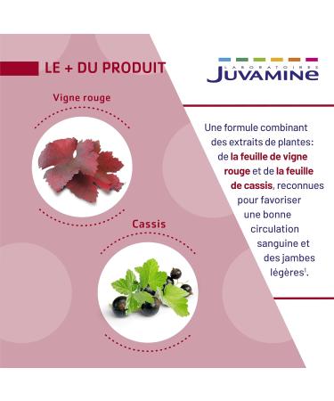 JUVAMINE - Light Legs - Red Blackcurrant Vine - Promotes Circulatory Well-Being - Action on the Venous System of the Legs - 30 days program - Made in France - Buy Online on GoSupps.com