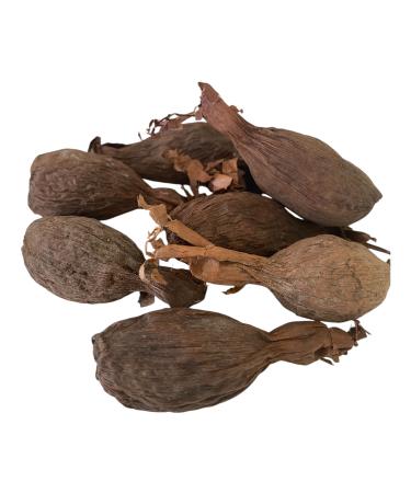 RMY Maniguette enti re Gousse de piment de Guin e (graines de paradis) piment alligator ou poivre alligator-6/ PCS