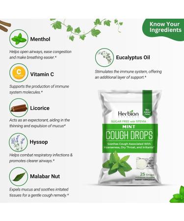 HERBION Naturals Cough Drops Sugar-Free with Stevia Dietary Supplement Soothes Cough for Adults & Children Over 6 Years 125 Drops (Pack of 5) Mint - Buy Online on GoSupps.com