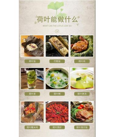 Infinitely Great Home Decor Center 500g dried lotus leaves for cooking Asian rice and food - Buy Online on GoSupps.com