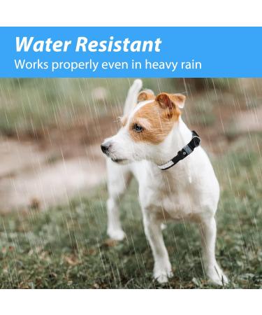 Luminous USB-C LED Dog Collar | Waterproof Light-Up Collar for Small & Medium Dogs | 7 Color Flashing Adjustable Size (28-40cm) - Buy Online on GoSupps.com