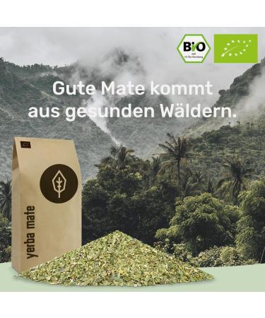 Buy Organic Yerba Mate Tea 1kg | Original Matured Smoke-Free & Plastic-Free | Fair Trade DE- KO-006 - Buy Online on GoSupps.com