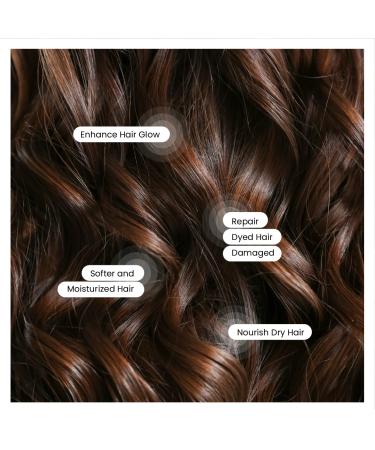 Organic Argan Oil - Cold Pressed Beauty Elixir for Hair Skin & Nails - Multi-Purpose Unrefined Rich in Nutrients - International Shipping Available - Buy Online on GoSupps.com