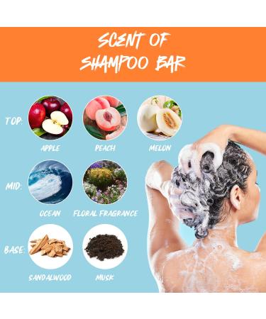 Buy Sea Salt Shampoo Bar - Soothing Formula for All Hair Types | Reduces Irritation & Moisturizes Scalp | Fluffy Feel | International Shipping Available - Buy Online on GoSupps.com