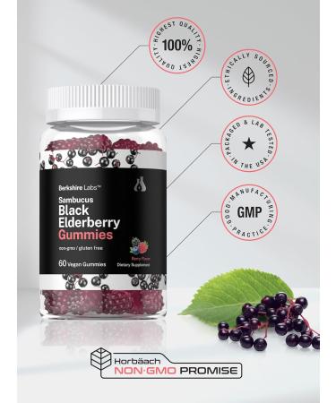 Horbaach Sambucus Black Elderberry Gummies - 60 Count | Vegan Non-GMO Gluten Free with Zinc & Vitamin C | Berry Flavor by Berkshire Labs - Buy Online on GoSupps.com
