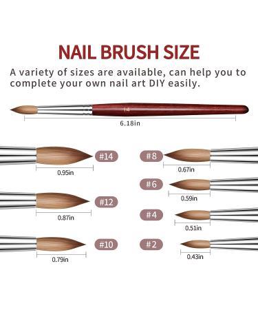 Ailisaail 7Pcs Acrylic Nail Brush Set | Red Wood Handle | Nail Art Brushes for Acrylic Application | Beginner & Professional Acrylic Nail Tools | Sizes 2/4/6/8/10/12/14 - Buy Online on GoSupps.com