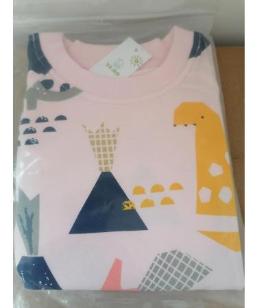 Girls Cotton Dinosaur Sweatshirt | Long Sleeve Pullover for Kids 2-3 Years | Toddler Casual Jumper T-Shirt | Age 1-12 Years - Buy Online on GoSupps.com