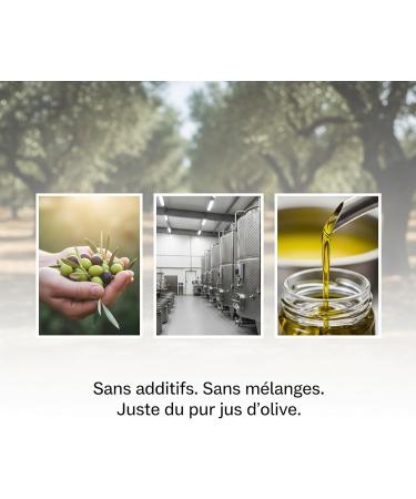 Euphoria Gift - Huile d'olive de qualit premium | Extra vierge de Gr ce | Press e froid |Nouvelle R colte 2025-2026|Premi re classe|Olives cueillies la main|Bidon de 5 litres - Buy Online on GoSupps.com
